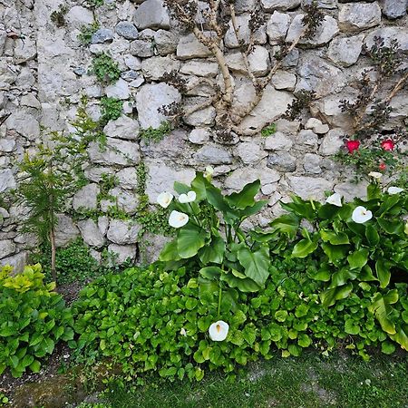 Gardainn Giardino 38A Riva del Garda Kültér fotó