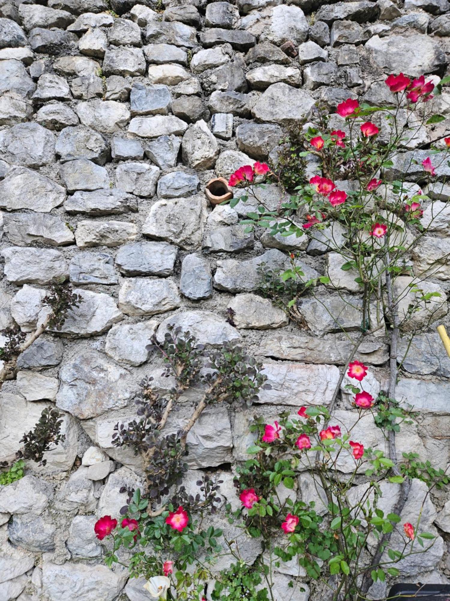 Gardainn Giardino 38A Riva del Garda Kültér fotó