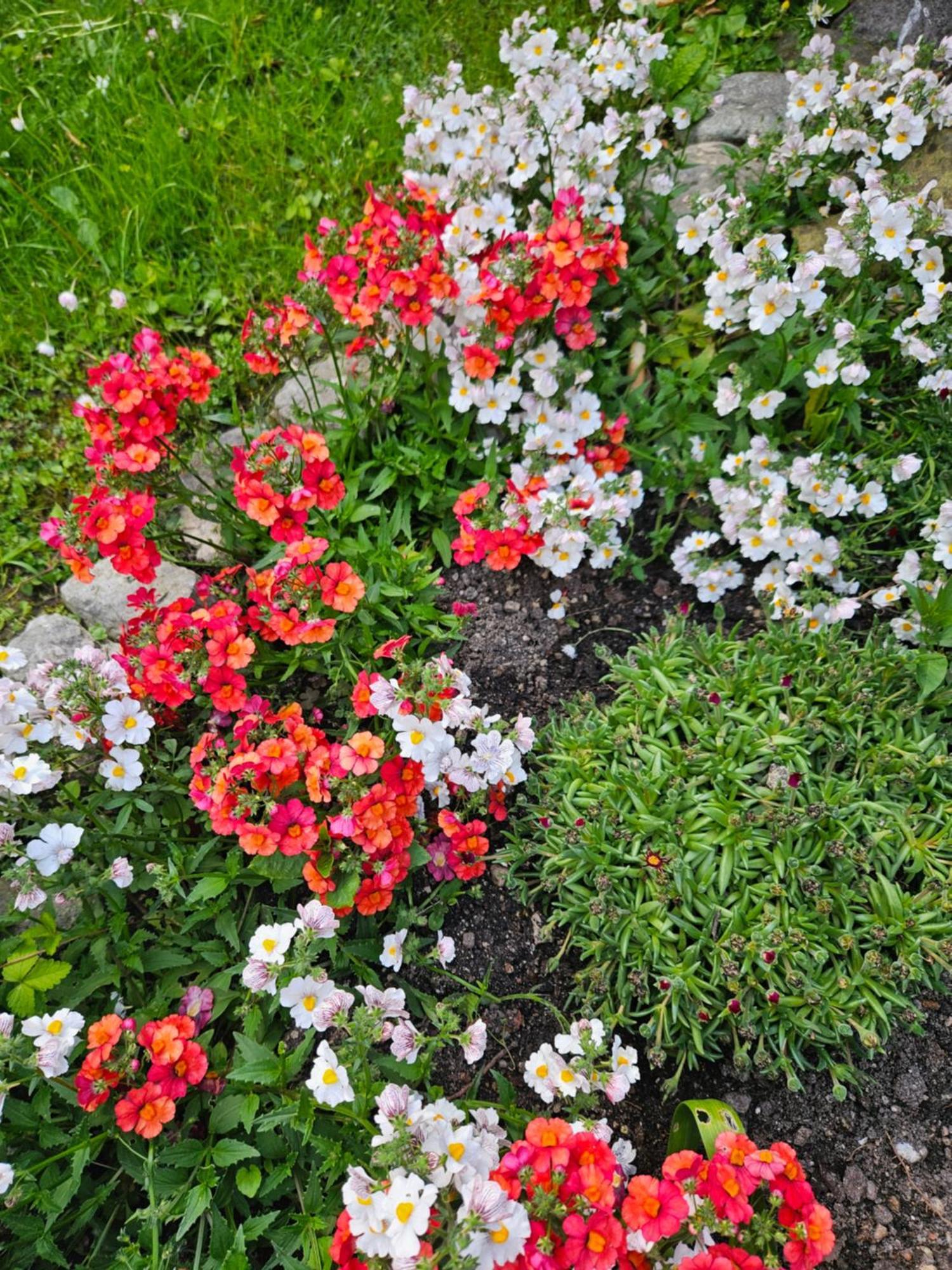 Gardainn Giardino 38A Riva del Garda Kültér fotó