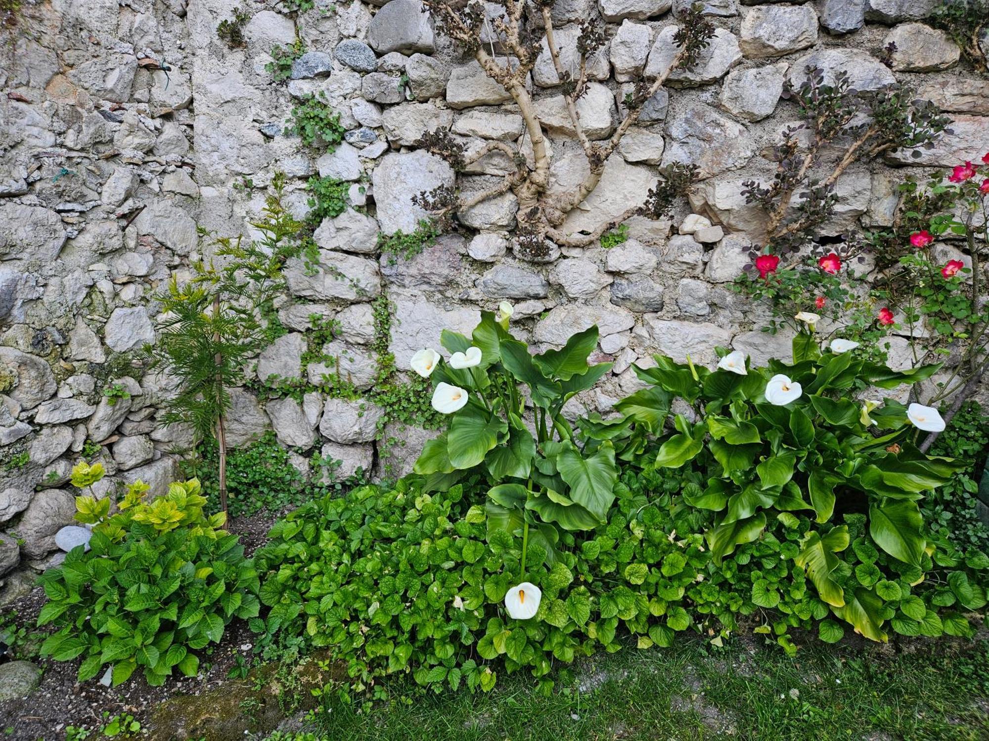 Gardainn Giardino 38A Riva del Garda Kültér fotó